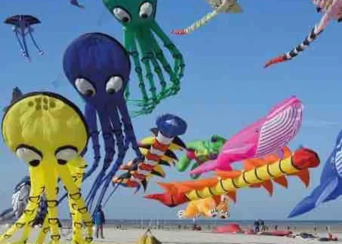 아파트 Escapade Berckoise, Berck