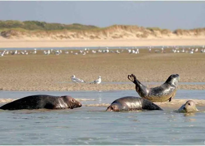 Appartement Escapade Berckoise,